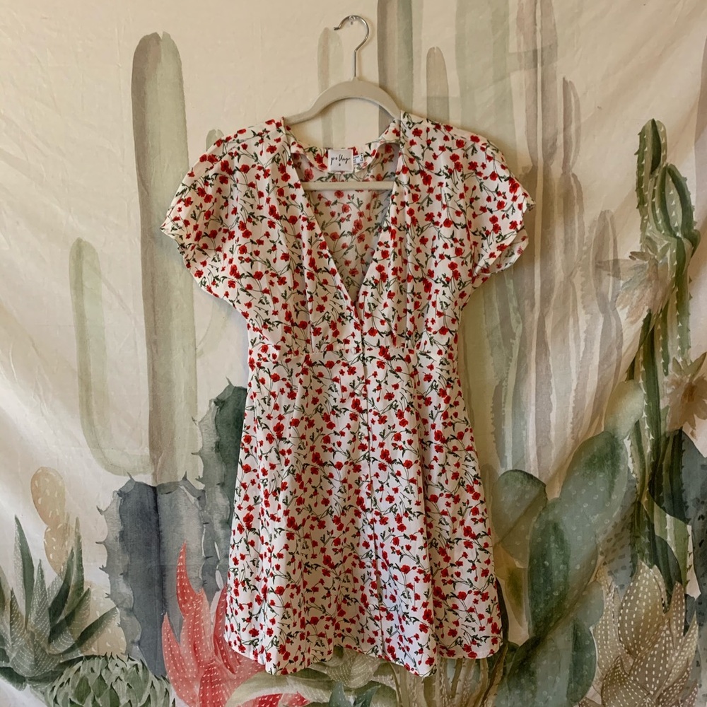 Princess Polly Dress